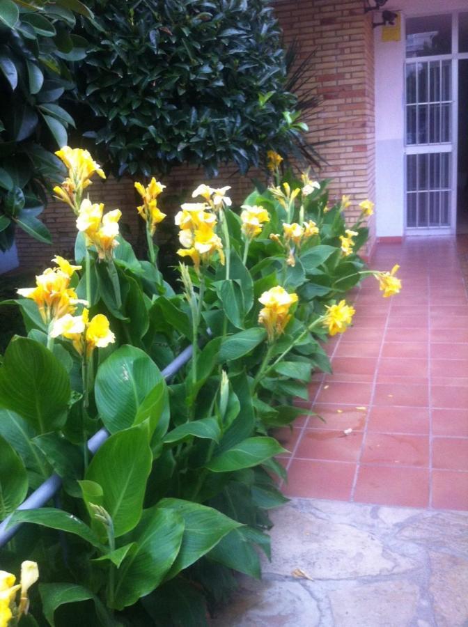 La Pineda Beach Apartment ภายนอก รูปภาพ